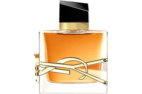 ysl sahibi kim